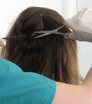 Hair Drug Test - Professional Lab Hair Drug Test